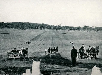 Learning drilling and rolling at Dookie Agricultural College, Victoria, c.1900, from 