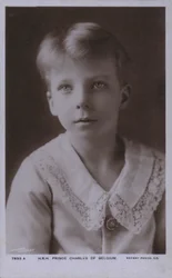 Prince Charles of Belgium, Count of Flanders