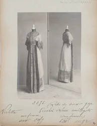 Album Page: House of Worth, Dinner Gown