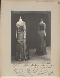 Album Page: House of Worth, Dress