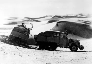 Gobi Desert, The Yellow Expedition