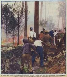 Peasants and soldiers fighting a forest fire in the Black Forest, Germany