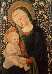 Unknown Image