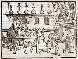 Medicine through plants and their virtues - in Des profits champêtres et ruraux by Pierre de Crescent, Paris