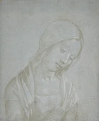 Bust of a Young Woman