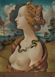 Portrait of Simonetta Vespucci