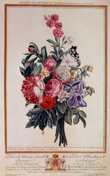 Bouquet of Flowers Lithograph by Pierre Joseph