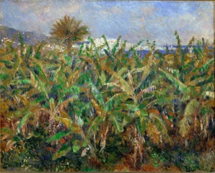 Banana Fields