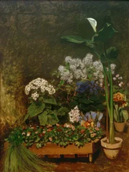 The Greenhouse