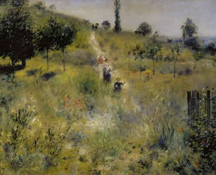 Path Leading through Tall Grass