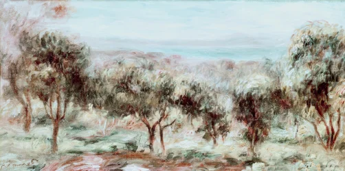 Landscape, the Olive Trees