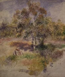 Study of a Tree