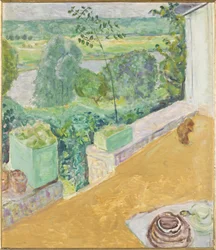 Dog on the Terrace