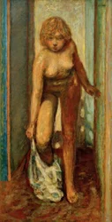 Woman Undressing