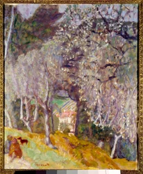 House in the Olives