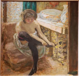 The Woman with Black Stockings