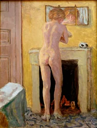 Naked standing at his toilet