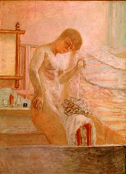 Naked standing at his toilet