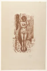 Standing Naked Woman Washing Herself