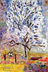 The Almond Tree in Blossom