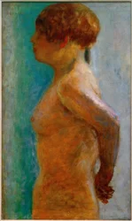 Torso of a Woman in Profile