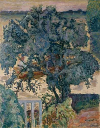Tree by the River