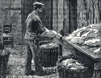 Leather: splitting of rabbit skins to make leather Engraving from 