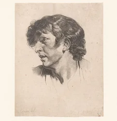 Head of a Young Man, Turned to the Left
