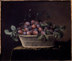 Basket of Plums