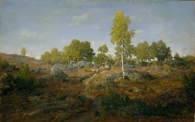 A Path Among the Rocks