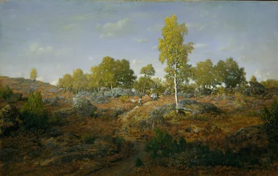 A Path among the Rocks
