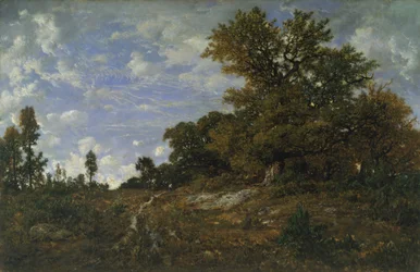 The Edge of the Woods at Monts-Girard, Fontainebleau Forest