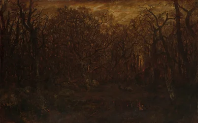 The Forest in Winter at Sunset