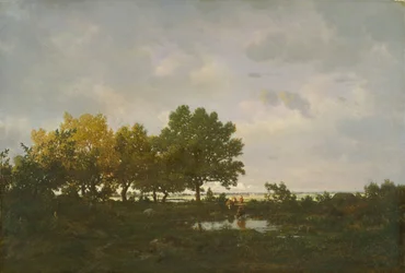 The Pond