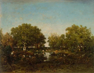 The Pool (Memory of the Forest of Chambord)