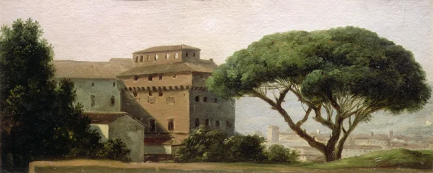 View of the convent of Ara Coeli: the umbrella pine