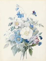 Blue Asters, Rosa Spinosissima (Hybrid), Harebell, Violas, Carnation and a Wild Rose