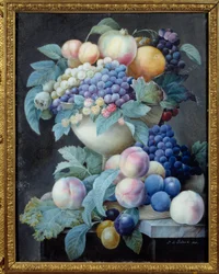 Grapes in a Cup