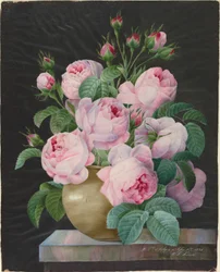 Pink Roses in a Vase