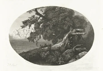 Uprooted Tree Trunk on the Coast