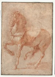 Study of Bucephalus for the Relief "Alexander and Diogenes"