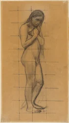 A Standing Male Nude
