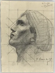 Head of a Man in Profile