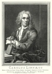 Carl Linnaeus, Swedish botanist and zoologist