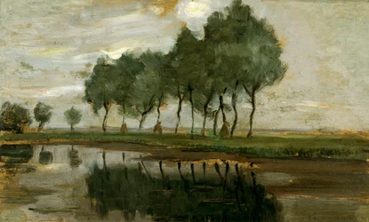 Landscape of trees near Gein