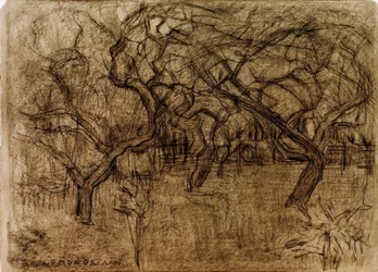 Orchard