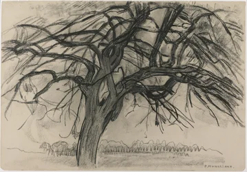 Preliminary Study for Evening: The Red Tree, 1908