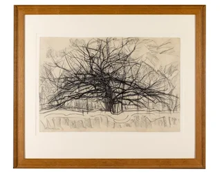 Study for The Grey Tree, 1911