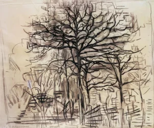 Study of Trees