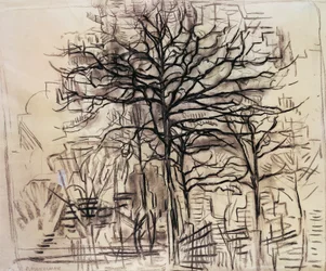 Study of trees